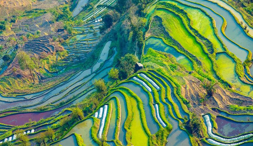 宝妈必备神器：阿里产品视频拍摄轻松育儿好帮手